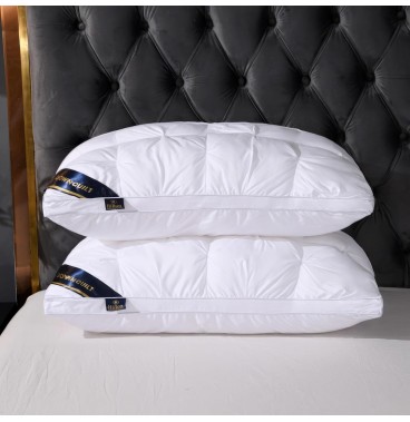 Lot 2 Oreiller Moelleux Style Hôtel – Soutien et Confort Luxueux