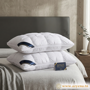 Oreillers de Confort Premium Microfibre Siliconée 50*70 cm